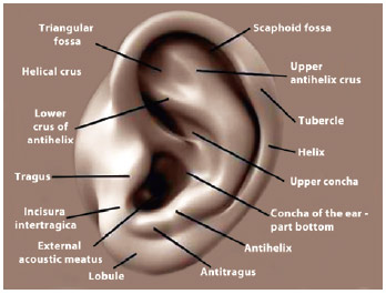 RBCP - Sundfeld-Reis suture for the correction of auricular axis and